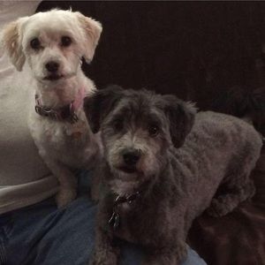 Meet your Posher, Roberta